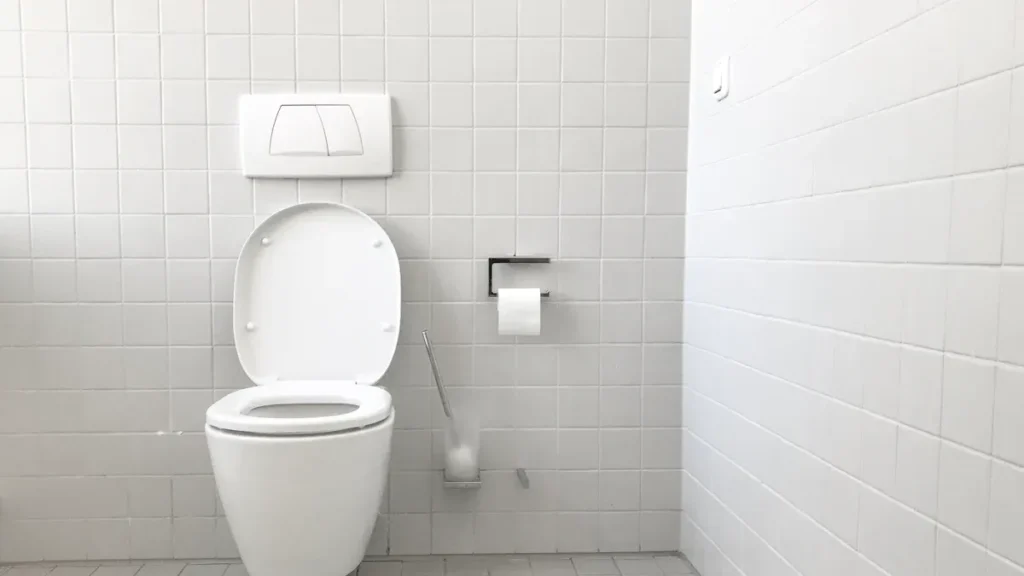 Standard Height of WC Guide for Modern Homes