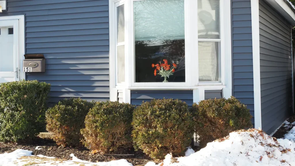 The Benefits and Drawbacks of Installing Vinyl Windows