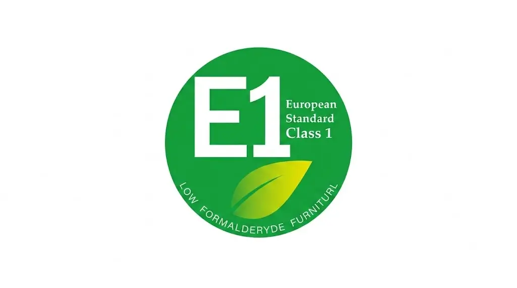 E1 Standard